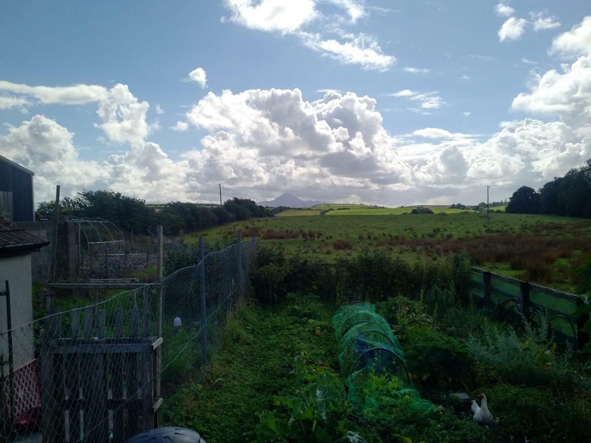 Catherine'S Lair A Quiet Peaceful Homestay Westport Exteriér fotografie